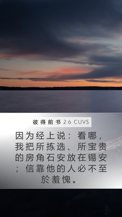 彼 得 前 书 2:6 CUVS Bible Verse Image