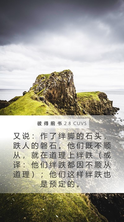 彼 得 前 书 2:8 CUVS Bible Verse Image