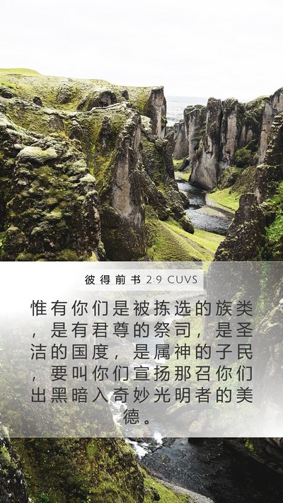 彼 得 前 书 2:9 CUVS Bible Verse Image