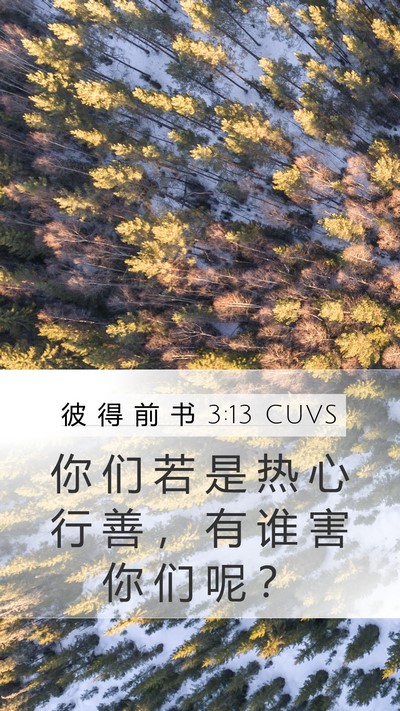 彼 得 前 书 3:13 CUVS Bible Verse Image