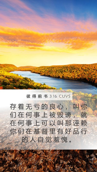 彼 得 前 书 3:16 CUVS Bible Verse Image