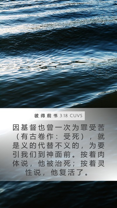 彼 得 前 书 3:18 CUVS Bible Verse Image