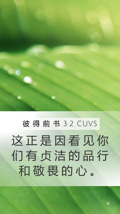 彼 得 前 书 3:2 CUVS Bible Verse Image