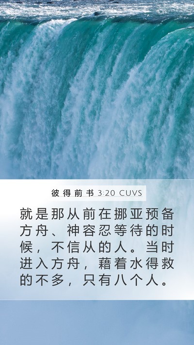 彼 得 前 书 3:20 CUVS Bible Verse Image
