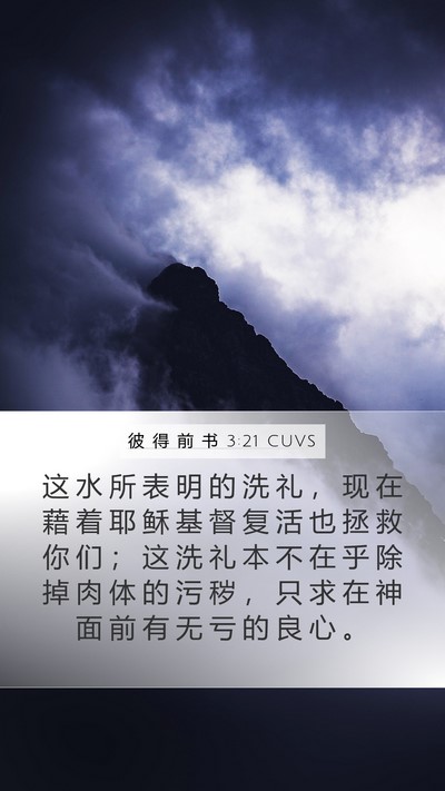 彼 得 前 书 3:21 CUVS Bible Verse Image