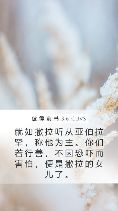彼 得 前 书 3:6 CUVS Mobile Phone Wallpaper - 就 如 撒 拉 听 从 亚 伯 拉 罕 ， 称 - Mobile Bible Verse Wallpaper