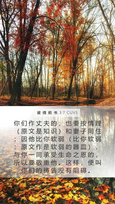 彼 得 前 书 3:7 CUVS Bible Verse Image