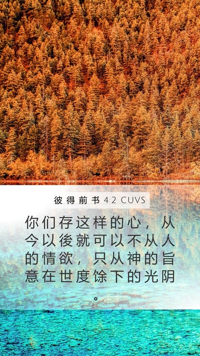 彼 得 前 书 4:2 CUVS Bible Verse Image