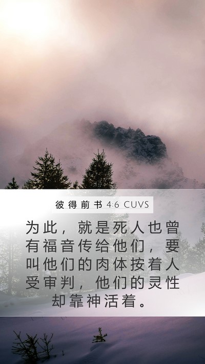 彼 得 前 书 4:6 CUVS Bible Verse Image