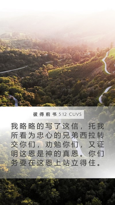 彼 得 前 书 5:12 CUVS Bible Verse Image