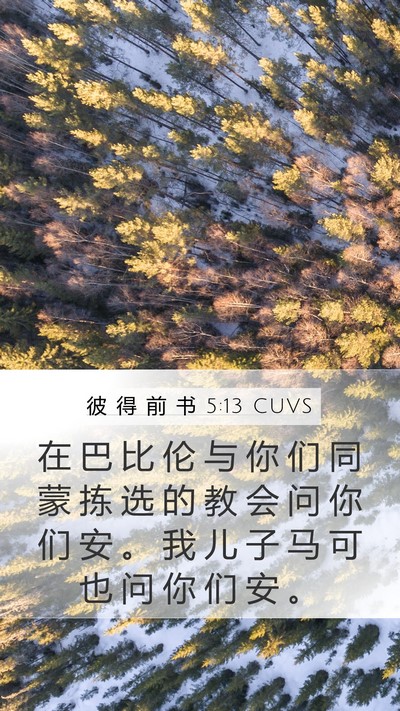 彼 得 前 书 5:13 CUVS Mobile Phone Wallpaper - 在 巴 比 伦 与 你 们 同 蒙 拣 选 的 - Mobile Bible Verse Wallpaper