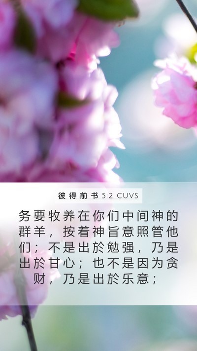 彼 得 前 书 5:2 CUVS Bible Verse Image