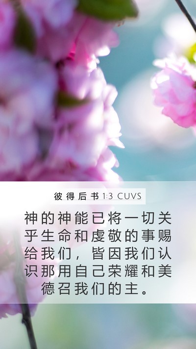 彼 得 后 书 1:3 CUVS Bible Verse Image