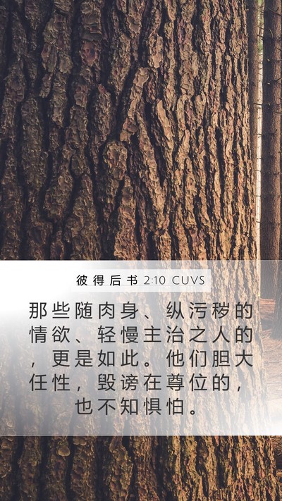 彼 得 后 书 2:10 CUVS Bible Verse Image