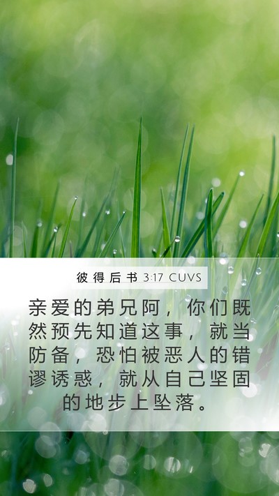 彼 得 后 书 3:17 CUVS Bible Verse Image