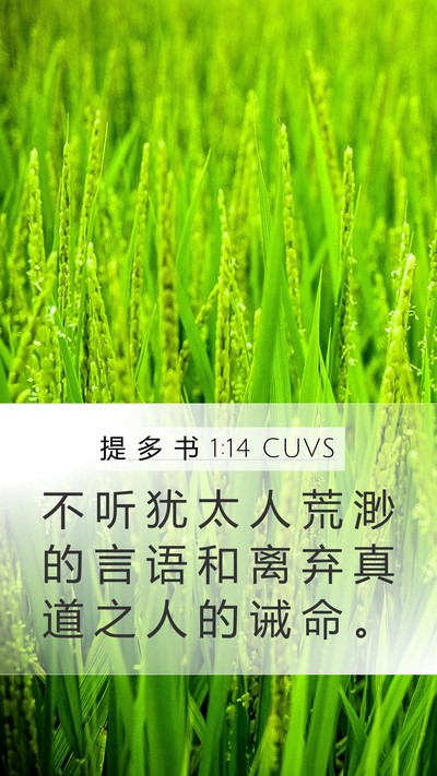 提 多 书 1:14 CUVS Bible Verse Image