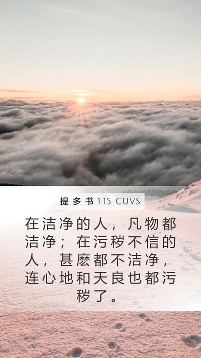 提 多 书 1:15 CUVS Bible Verse Image