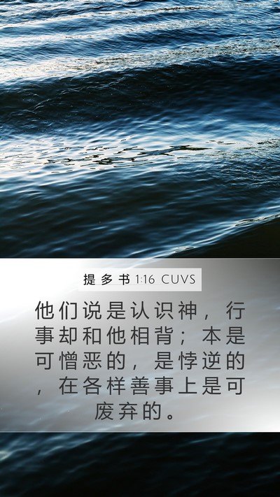 提 多 书 1:16 CUVS Bible Verse Image