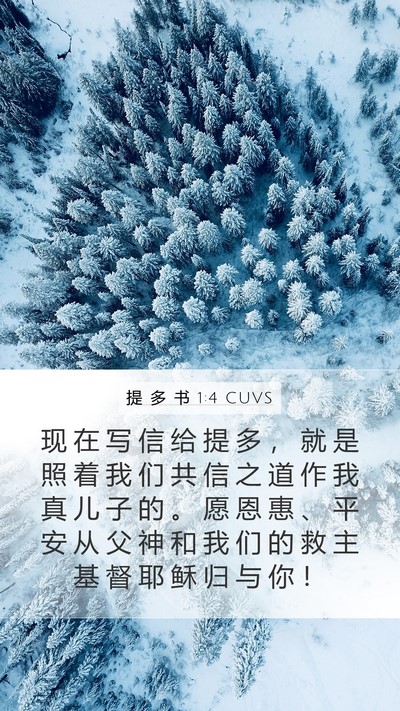 提 多 书 1:4 CUVS Bible Verse Image