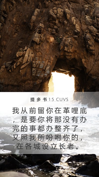 提 多 书 1:5 CUVS Bible Verse Image
