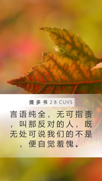 提 多 书 2:8 CUVS Bible Verse Image