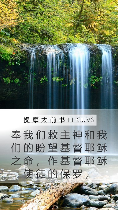 提 摩 太 前 书 1:1 CUVS Mobile Phone Wallpaper - 奉 我 们 救 主 神 和 我 们 的 盼 望 - Mobile Bible Verse Wallpaper