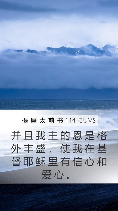 提 摩 太 前 书 1:14 CUVS Bible Verse Image