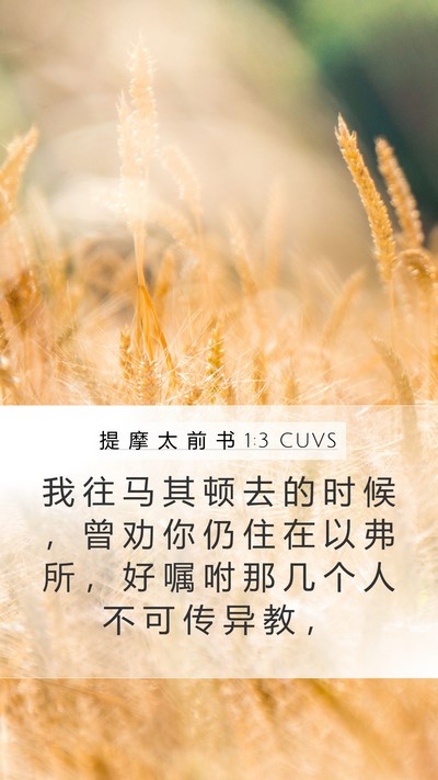 提 摩 太 前 书 1:3 CUVS Mobile Phone Wallpaper - 我 往 马 其 顿 去 的 时 候 ， 曾 劝 - Mobile Bible Verse Wallpaper
