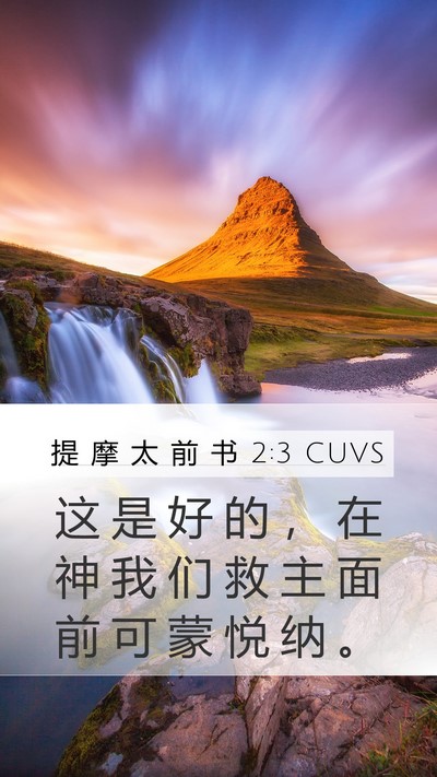 提 摩 太 前 书 2:3 CUVS Bible Verse Image