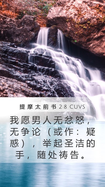 提 摩 太 前 书 2:8 CUVS Bible Verse Image