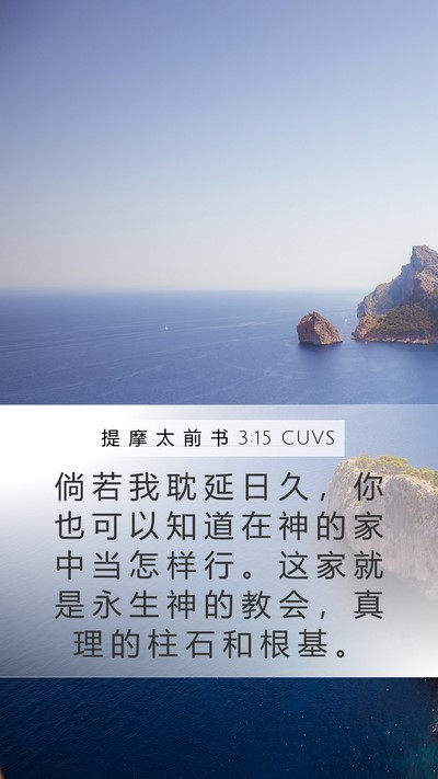 提 摩 太 前 书 3:15 CUVS Bible Verse Image