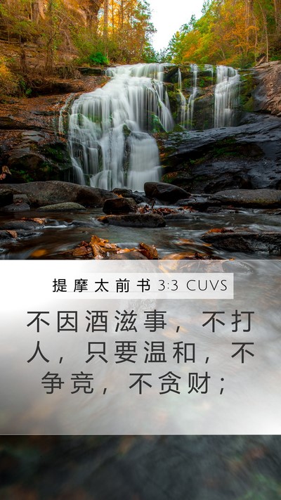 提 摩 太 前 书 3:3 CUVS Bible Verse Image