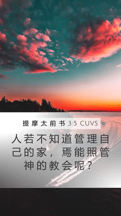 提 摩 太 前 书 3:5 CUVS Mobile Phone Wallpaper - 人 若 不 知 道 管 理 自 己 的 家 ， - Mobile Bible Verse Wallpaper