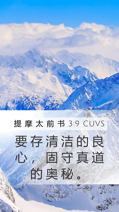 提 摩 太 前 书 3:9 CUVS Mobile Phone Wallpaper - 要 存 清 洁 的 良 心 ， 固 守 真 道 - Mobile Bible Verse Wallpaper