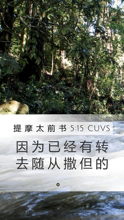 提 摩 太 前 书 5:15 CUVS Bible Verse Image