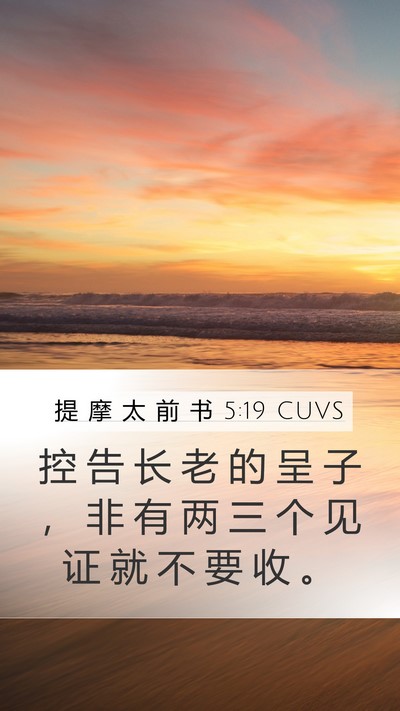 提 摩 太 前 书 5:19 CUVS Bible Verse Image