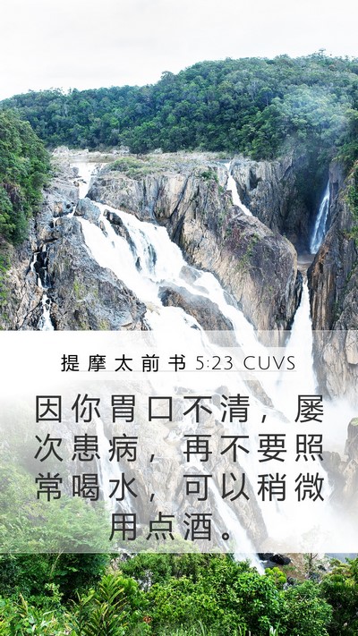 提 摩 太 前 书 5:23 CUVS Bible Verse Image