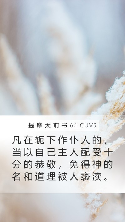提 摩 太 前 书 6:1 CUVS Bible Verse Image