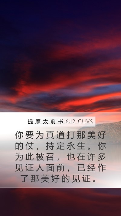 提 摩 太 前 书 6:12 CUVS Bible Verse Image