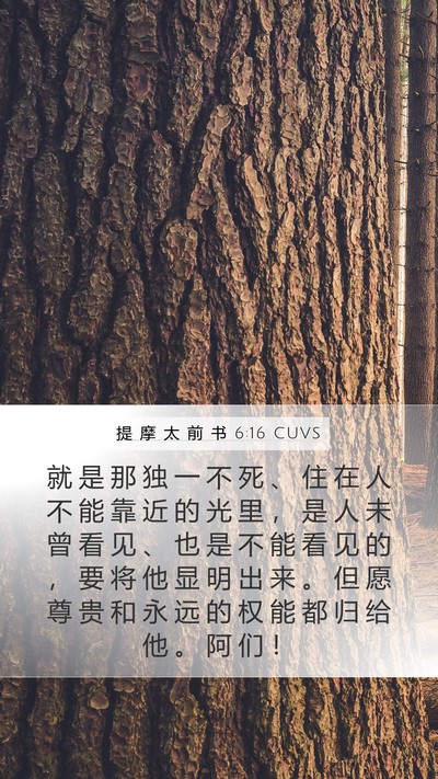 提 摩 太 前 书 6:16 CUVS Bible Verse Image