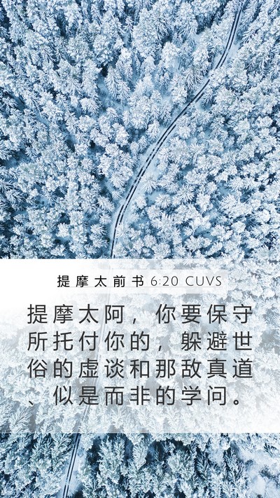 提 摩 太 前 书 6:20 CUVS Bible Verse Image