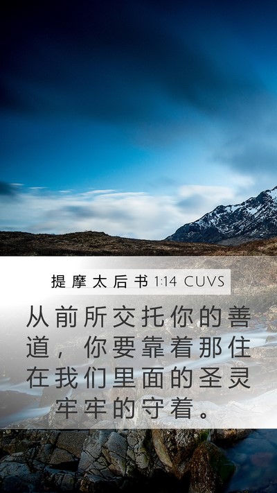 提 摩 太 后 书 1:14 CUVS Mobile Phone Wallpaper - 从 前 所 交 托 你 的 善 道 ， 你 要 - Mobile Bible Verse Wallpaper