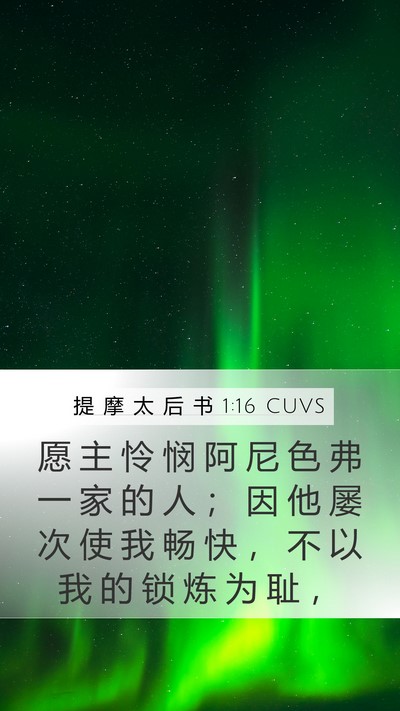 提 摩 太 后 书 1:16 CUVS Bible Verse Image
