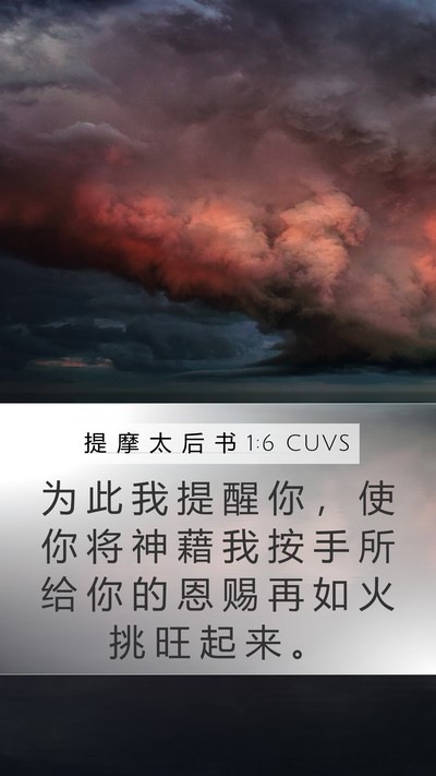 提 摩 太 后 书 1:6 CUVS Bible Verse Image