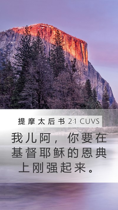 提 摩 太 后 书 2:1 CUVS Bible Verse Image