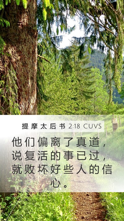 提 摩 太 后 书 2:18 CUVS Bible Verse Image