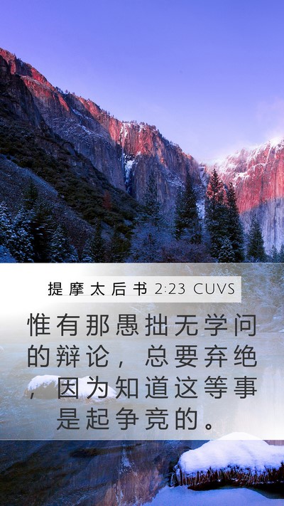 提 摩 太 后 书 2:23 CUVS Bible Verse Image