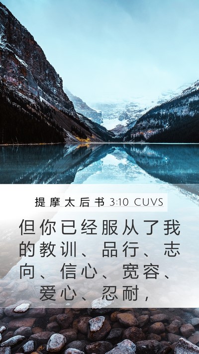 提 摩 太 后 书 3:10 CUVS Mobile Phone Wallpaper - 但 你 已 经 服 从 了 我 的 教 训 、 - Mobile Bible Verse Wallpaper