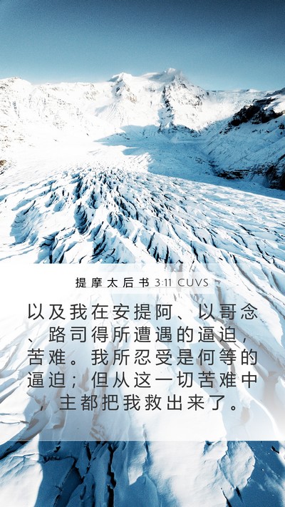 提 摩 太 后 书 3:11 CUVS Bible Verse Image