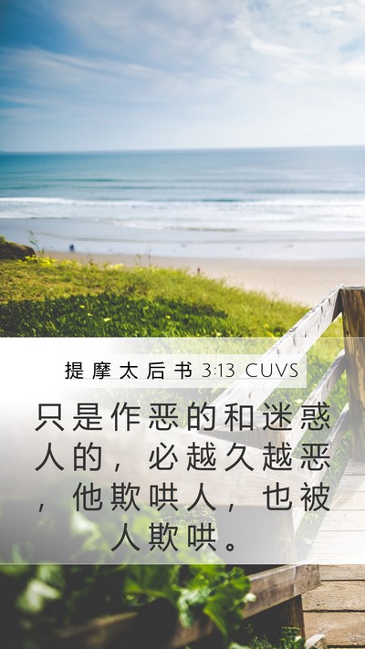 提 摩 太 后 书 3:13 CUVS Bible Verse Image